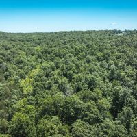 Kuskes Deer Camp images 1