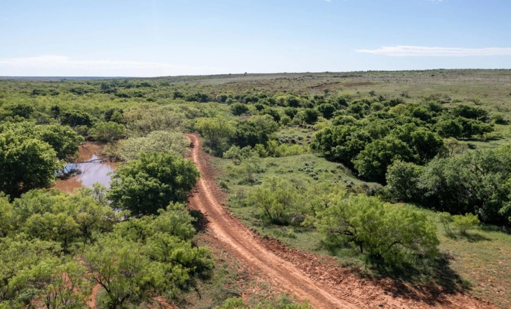 Phillips Estate Ranch featured image