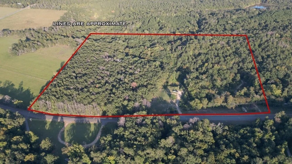 Catahoula Parish Affordable Hunting Land featured image