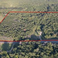 Catahoula Parish Affordable Hunting Land