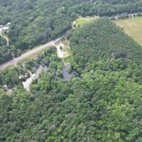 Catahoula Parish Affordable Hunting Land images 5