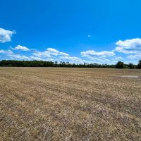 23.6 acres of Productive Farm Land For Sale in Chesapeake VA images 3
