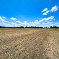 23.6 acres of Productive Farm Land For Sale in Chesapeake VA images 4