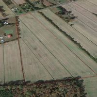 23.6 acres of Productive Farm Land For Sale in Chesapeake VA images 5