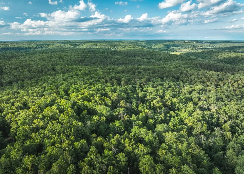 Cedar Ford Acres featured image