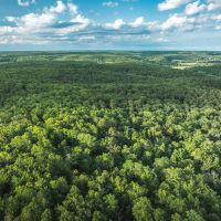 Cedar Ford Acres images 1