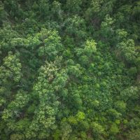 Cedar Ford Acres images 4