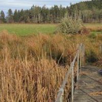 Ocean Shores Airport - Deer hunting 185 acres WMA Grays Harbor, WA