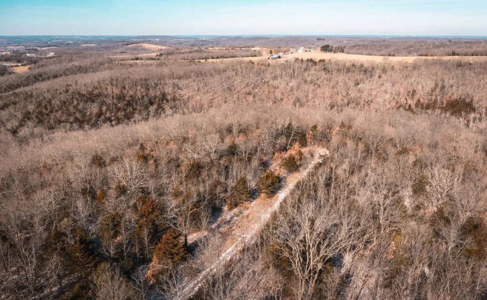Bottle Neck Trails featured image