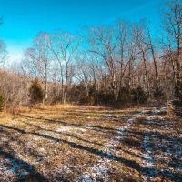 Bottle Neck Trails images 5