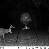 Great Deer and Turkey Hunting Minutes East of Little Rock images 4
