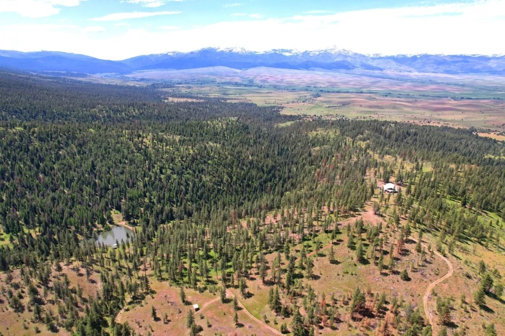 C4Ever Ranch featured image