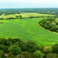 Pillar Bluff Lake Ranch images 4
