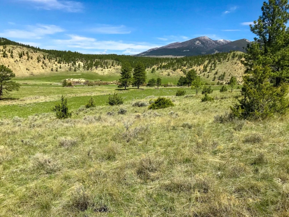 Grandview Acreage featured image