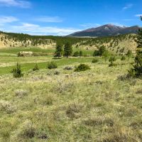 Grandview Acreage