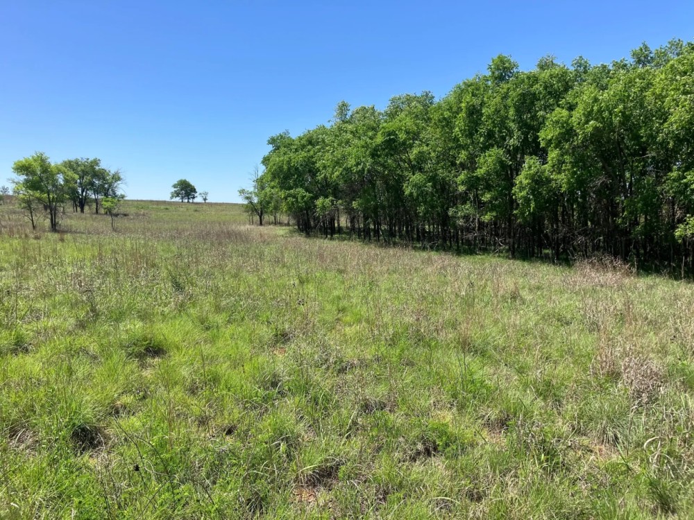 Barker Ranch South featured image
