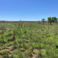 Barker Ranch South images 2