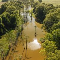 33.64 Acres with a Home in Humphreys County MS images 3