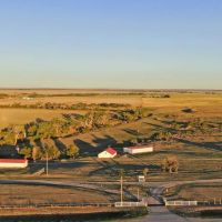 Blue Rose Ranch