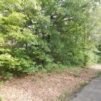 Recreational Land Paris TX Lamar County TX images 2