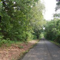 Recreational Land Paris TX Lamar County TX images 3