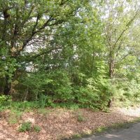 Recreational Land Paris TX Lamar County TX images 5