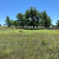 Barker Ranch East images 5