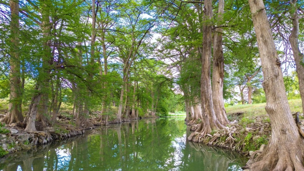 Guadalupe Bend River Ranch featured image