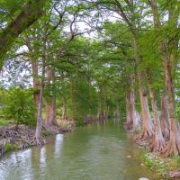 Guadalupe Bend River Ranch images 2