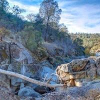 Rock Creek WMA - ELK, Mule Deer hunt public hunting land of 10,386-acres - Kittitas, WA