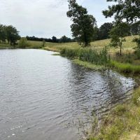 Drasco Estate images 5