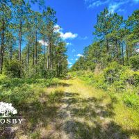 Robeson 702 images 2