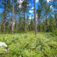 Robeson 702 images 4