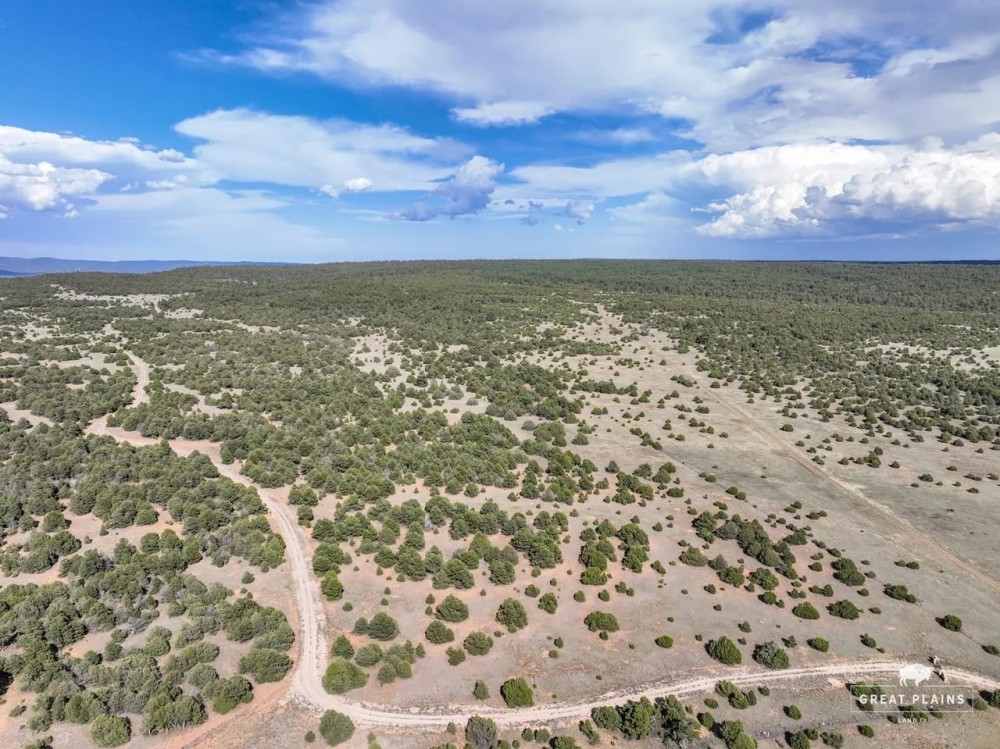 Rowe Mesa 56 featured image