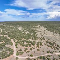 Rowe Mesa 56