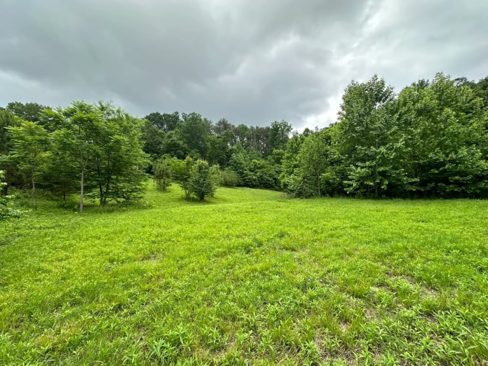 90 Acres amp Homesite - Cullman Co. featured image