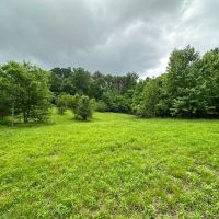90 Acres amp Homesite - Cullman Co.