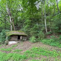 90 Acres amp Homesite - Cullman Co. images 4