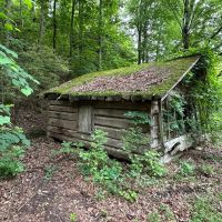 90 Acres amp Homesite - Cullman Co. images 5
