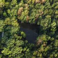 81 Acres with a Cabin in Rankin and Simpson Counties MS images 4