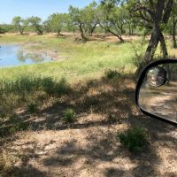 900 acre Duval County near Freer Tx. Whitetail deer and more