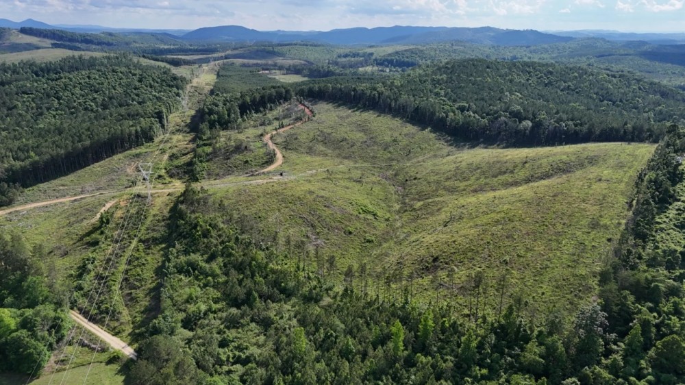 The Highline Tract 36 acres featured image