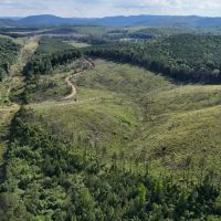 The Highline Tract 36 acres images 1