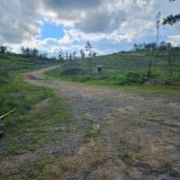 The Highline Tract 36 acres images 2