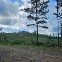 The Highline Tract 36 acres images 4
