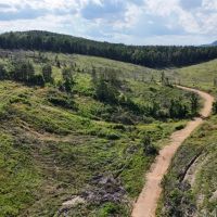 The Highline Tract 36 acres images 5