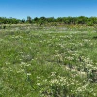 Miller CM Ranch images 4
