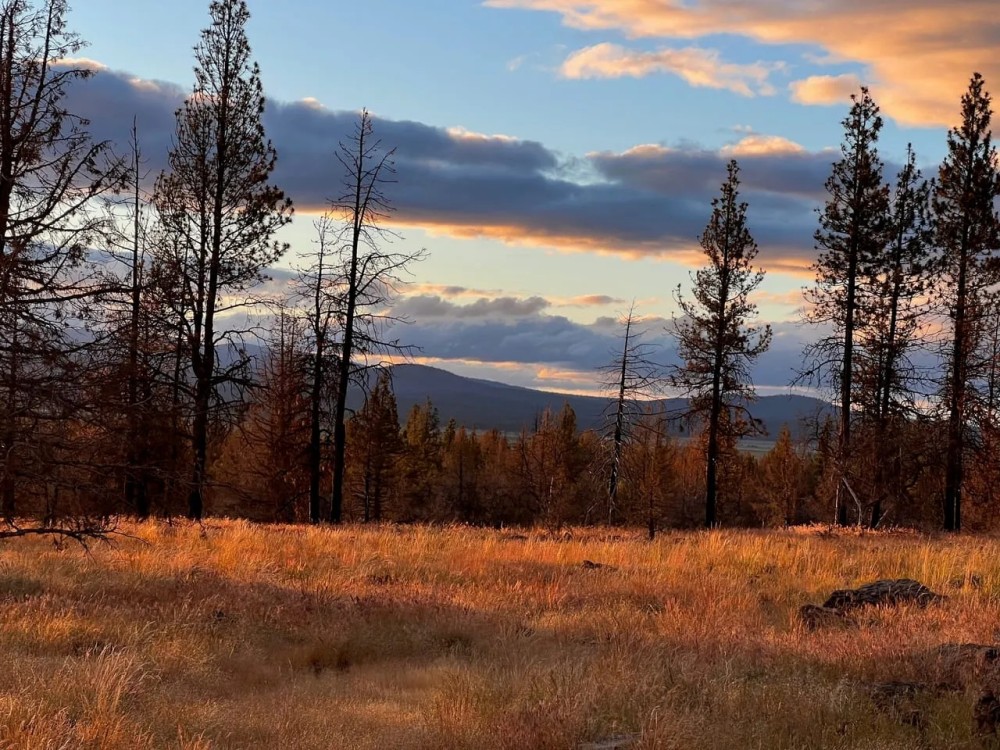 Sycan Marsh Recreational Property featured image