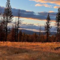 Sycan Marsh Recreational Property