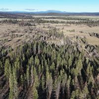 Sycan Marsh Recreational Property images 4